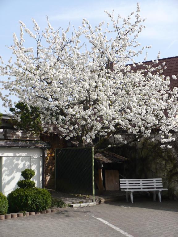 Hotel Am Birkenweg Erlangen Esterno foto